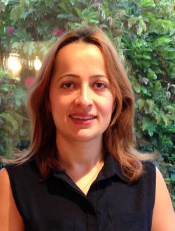 Dr. Laleh Rabieirad — Senior Principal Engineer at Raytheon Intelligence & Space